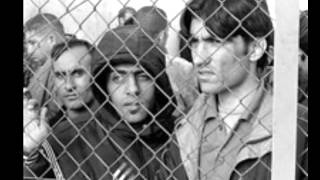 Greek Immigration