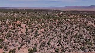 Seligman, AZ 1.95 - Acres for sale $5999 - #Seller Financing Available Let Talk!
