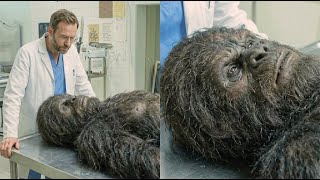 This Scientist Learned Bigfoot's Real Origin, What He Discovered Will Shock You - Sasquatch Story