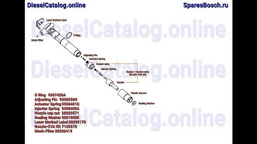 28231462 Injector Common Rail DELPHI (Volkswagen, Skoda, Seat)