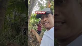 ang lakas ng ikot sa locator!