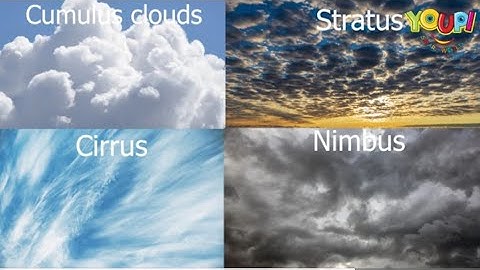 Types of Clouds Explained for Kids! ☁️ | Discover Fun Weather Facts