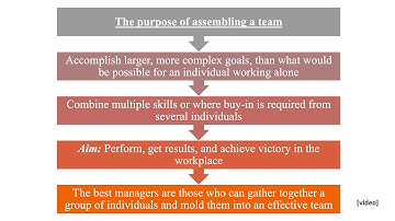 Differences groups teams, Team tasks