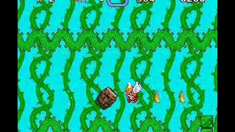 SMW Hack - Super Mario Country Bramble Blast Part . 1