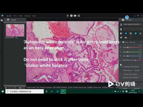 How to make white balance with Mshot software?