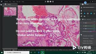 How to make white balance with Mshot software?