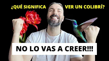 ¿Cuál es el significado de un colibrí?