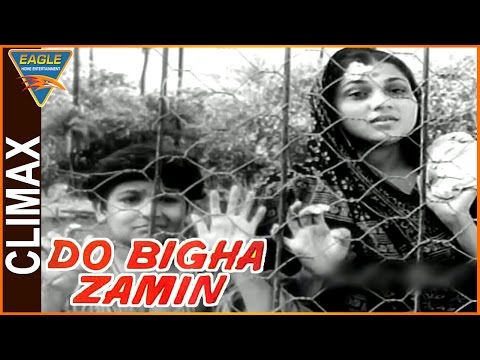 Do Bigha Zamin Hindi Movie || Climax Scene || Balraj Sahni, Nirupa Roy || Eagle Hindi Movies