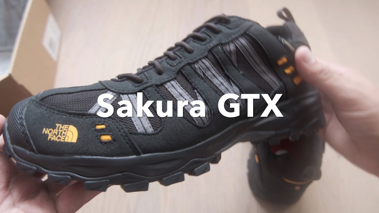 north face sakura gtx women's walking shoes