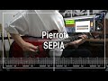 Pierrot - SEPIA (Guitar cover)