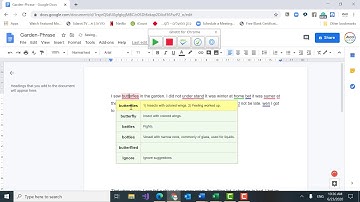 Using Ghotit for Chromebook- Spelling grammar and punctuation errors