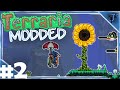 Strange Sights - Episode 2 | Modded Terraria - Expert Mode
