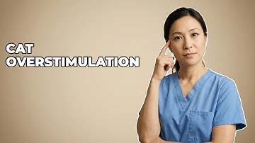 How To Understand Cat Petting Overstimulation?