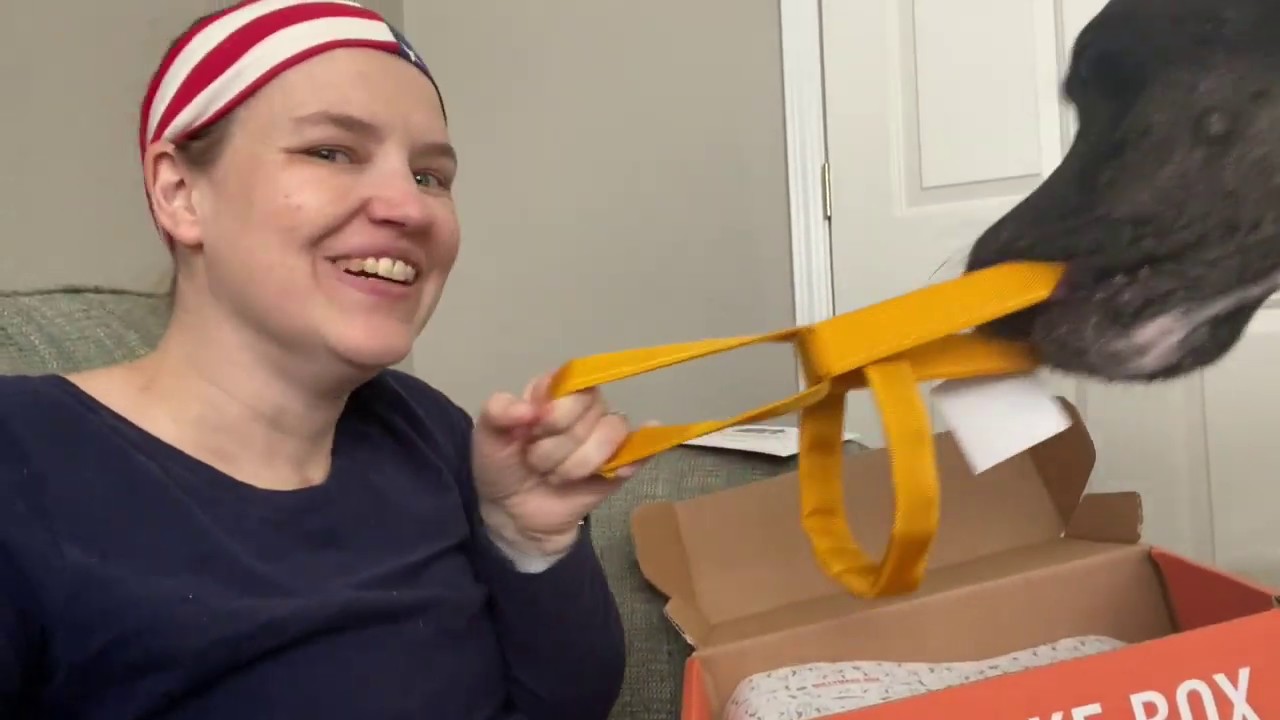 Service Dog: Honest Review of Bullymake Subscription Box (NOT Sponsored!)