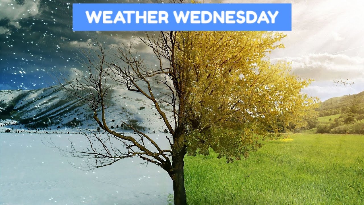New England's Fall Roller Coaster is Away! | Weather Wednesday