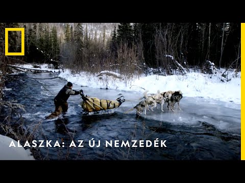 Videó: Puha játékok gyerekek rajzai alapján. Wendy Tsao kreativitása