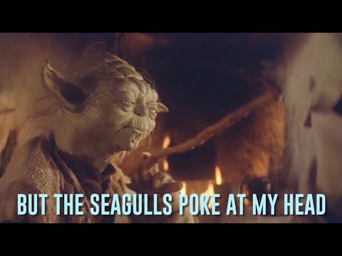 yoda and the seagulls