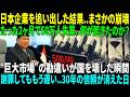「30年のパートナーを一瞬で失った」インドネシアの選択と衝撃の結末！ソニー・パナソニック・トヨタが同時撤退、外国投資が急減、格付け引き下げ、50万人失業危機！
