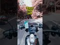 Happy new year to all all! #harleydavidson #motopasja #motorcycle #harley #bikelife #gopro #biker