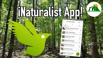 Complete Scientific Research In Your Own Back Yard With iNaturalist!
