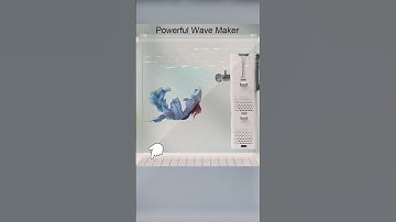 Máy Lọc Chìm Sunsun XQP-500F XQP1000F XQP1500F - Bộ Lọc Nước Bên Trong Bể Cá #phukienhoca