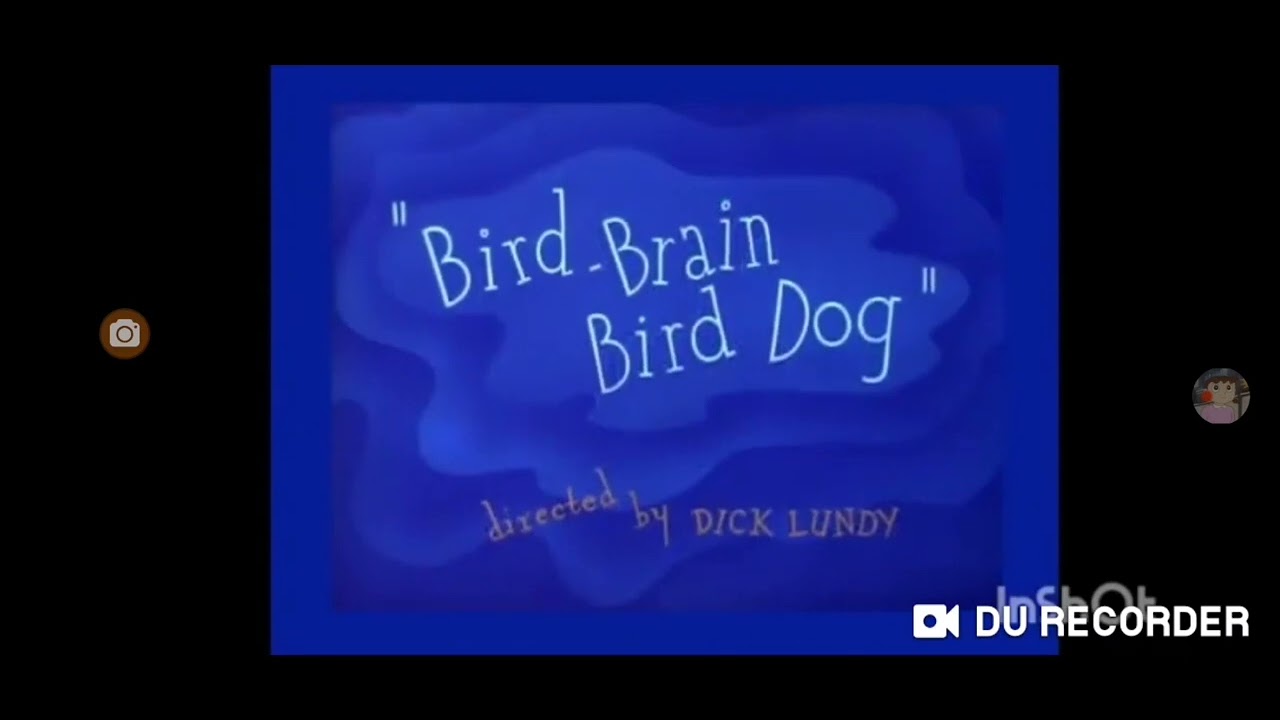 bird-brain bird dog (1954) hd intro and outro