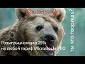 Новая система выплат авторам на Shutterstock с 1 Июня. Ты что творишь?