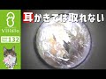 耳掃除 vol.132「耳かきでは取れない」(ear wax removal)イヤーエステサロンVillalo～ヴィラロ～