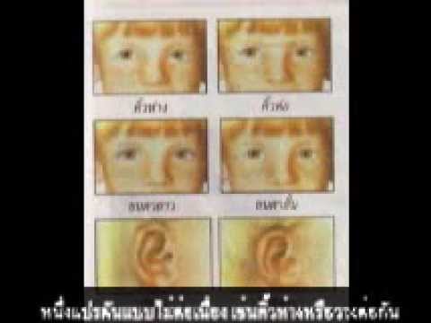 สำเนาของ เพลงพันธุกรรมง่าย ๆ M.5/1 P.W.