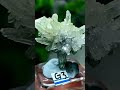 STONES GREEN CRYSTAL CLUSTER SPECIMEN — FENG SHUI QUARTZ FOR ABUNDANCE & HEALING 💎