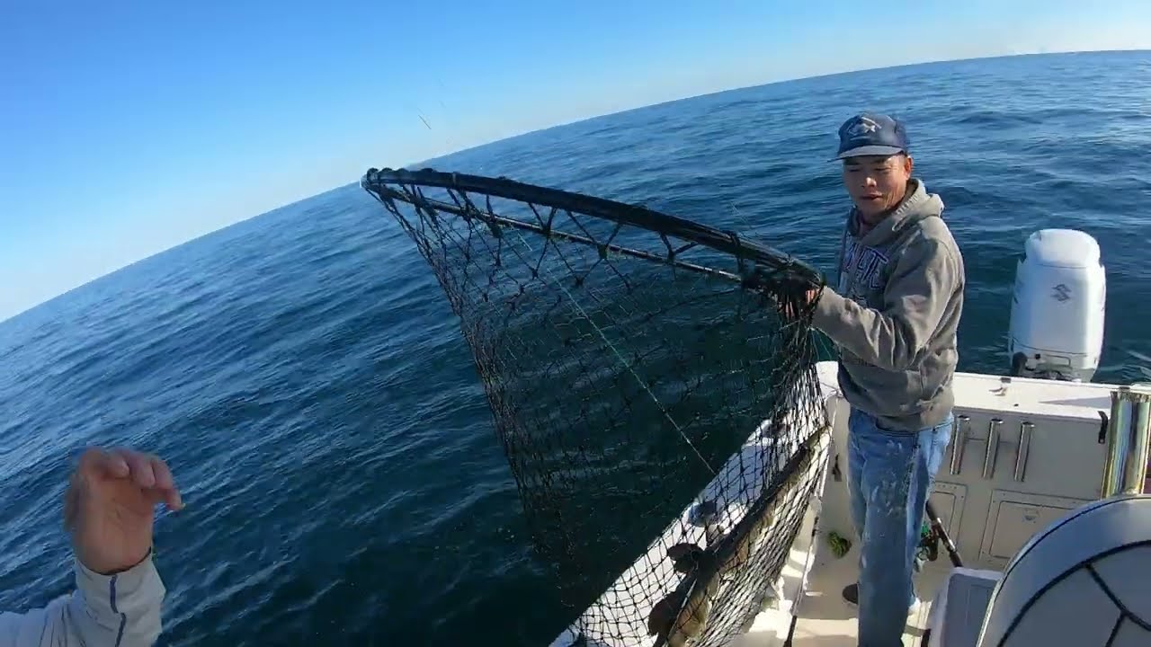 Virginia Offshore Wreck Fishing Big Flounder Seabass