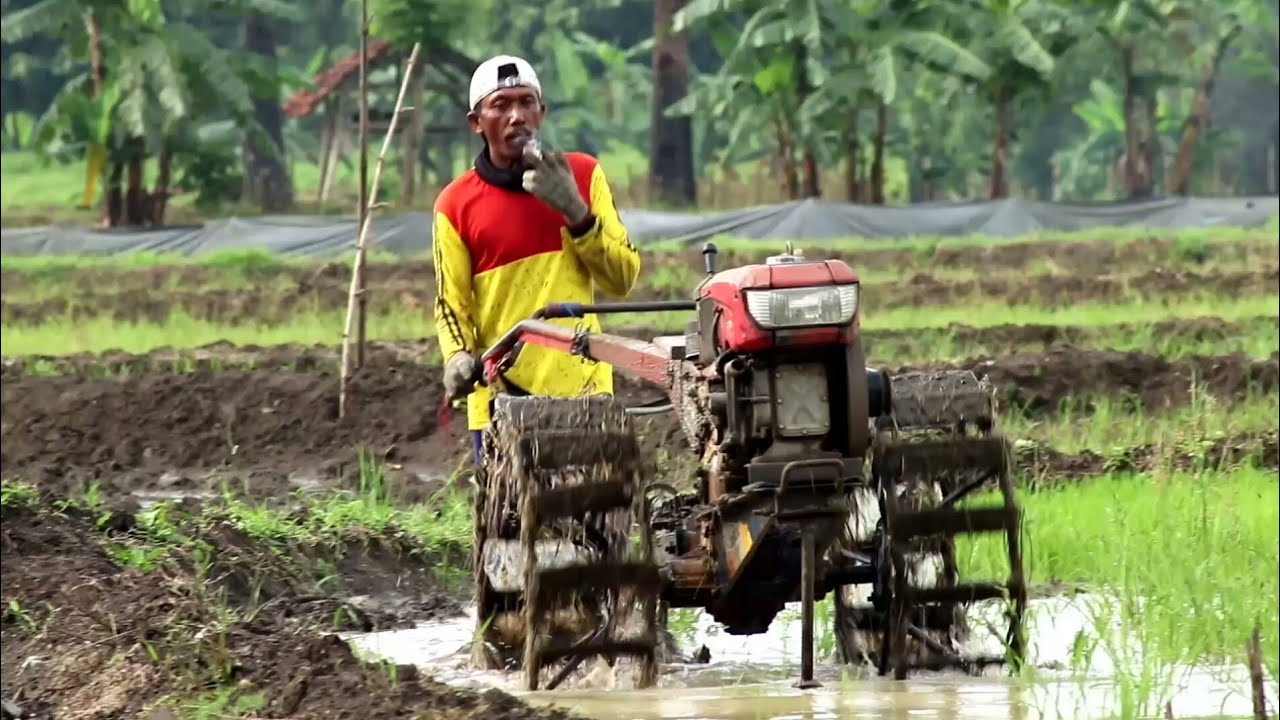 Quick G1000 Rice Tractor! Tractor Jockeys Work Fast Plowing With the