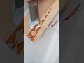 Flawless Sharpness: Art Within the Details #shorts #nature #wood #diy #asmr #relaxing #art #like
