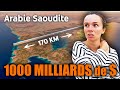 69 ils ont tu pour a i gigaprojets arabie saoudite i pays futuriste 