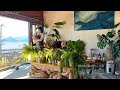 #39 植物大集合🪴年末大掃除🧹|ヒミツの壁の続き|暮らしながら家を改造|Life in Atami