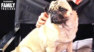 Patrick Top Tips For Pug Dogs Welfare - Family Entertainment