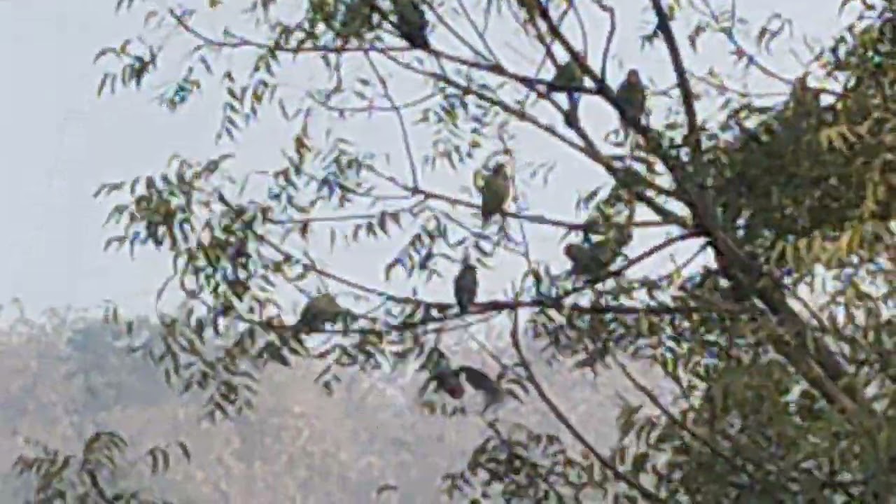 12 जनवरी 2026