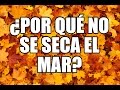 5 Acertijos con Respuesta en Español: ¿Por qué no se seca el mar?