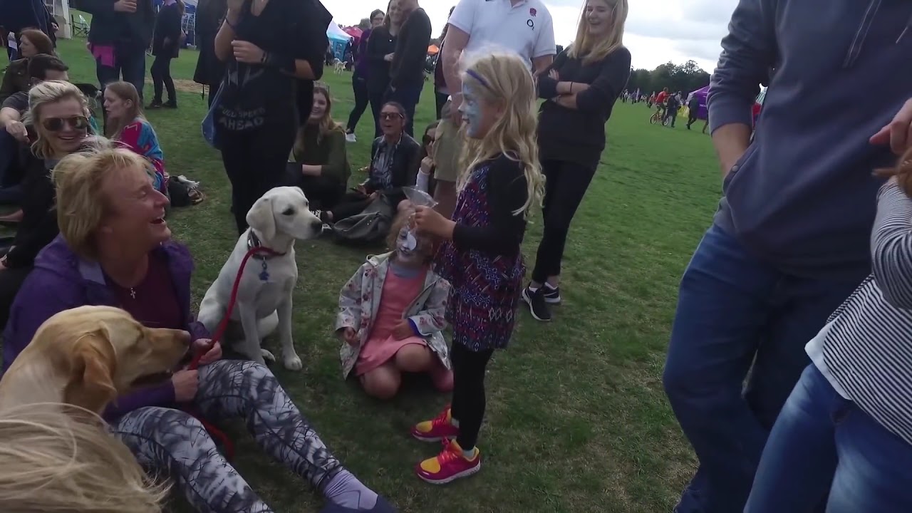 Walking Through a London Dog Show YouTube