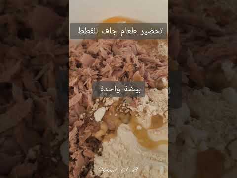 تحضير طعام مخصص للقطط 