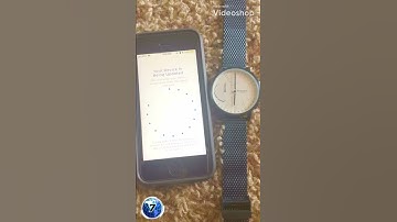Skagen Hybrid Smartwatch