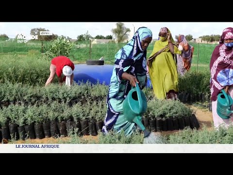 Mauritanie :  La Muraille verte avance ... lentement