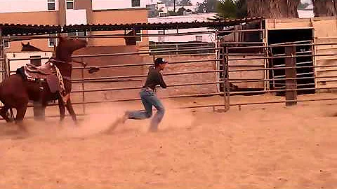 James Metoyer Bridleless Roping