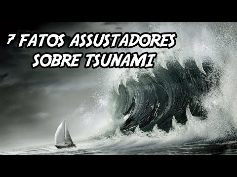 Vídeo: Alguns Fatos Sobre O Tsunami