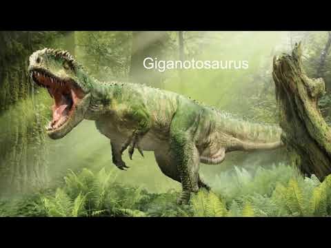 99 type of dinosaurs sound effects   family of dinosaurs