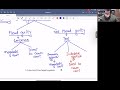 Lecture 5 on English Legal System