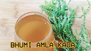 Bhumi amla kashaya | Bhumi amla juice| bhumi amla healthy drink
