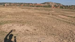 Devil's Tower Prairie Dog, defending his turf against the shadow monster!