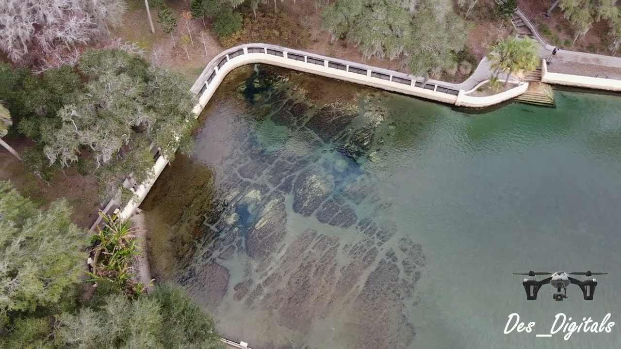 Salt Springs 4K drone Video of Natural Spring in the Ocala National Forest