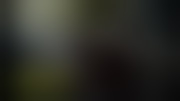 The Witcher: Enhanced Edition #25